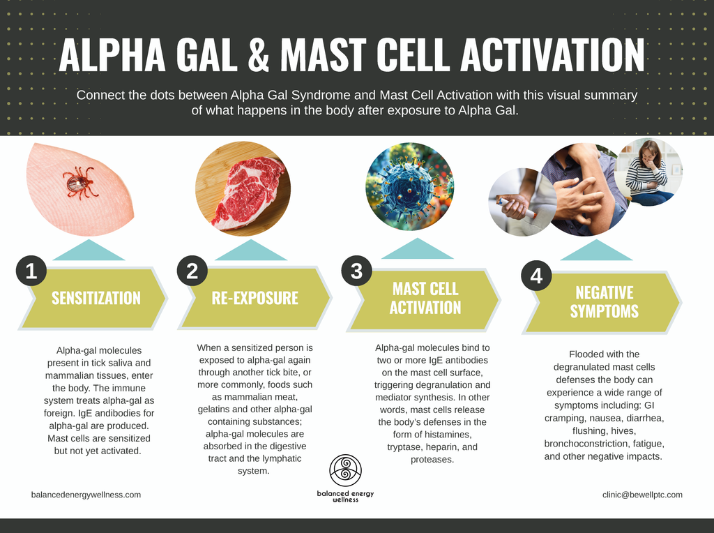Connect the dots between Alpha Gal Syndrome and Mast Cell Activation